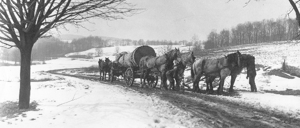 On the Quarry Road below the church hill, this log is perhaps being hauled to the site from the railroad spur at the end of the road. The horses at the other end provided a spare team for turns in pulling the heavy trunk.